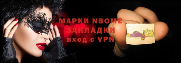 стаф Елизово