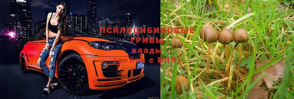 гидропоника Дмитров