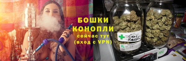 крисы Дмитриев
